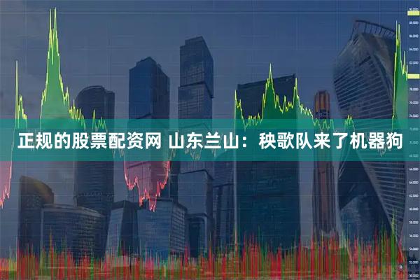 正规的股票配资网 山东兰山：秧歌队来了机器狗