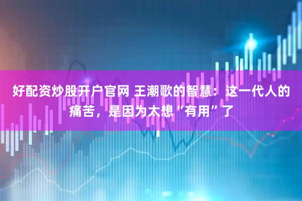 好配资炒股开户官网 王潮歌的智慧：这一代人的痛苦，是因为太想“有用”了